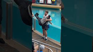 Tom mime SeaWorld got so surprised amazing moments 😍😂 seaworldmime seaworld seaworldorlando [upl. by Ahders]