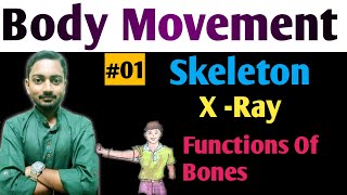 Class6 Science Guru  Chapter8  Body Movement  Skeleton  NCERT  CBSE  01 [upl. by Vasilis]