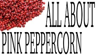 Pink Peppercorn  Spice Profile by Spiceologistcom [upl. by Nivar]