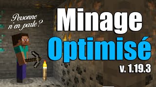 Minage Optimisé 119 PERSONNE ne parle de ca   Minecraft [upl. by Kaden93]