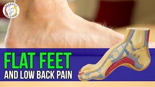 Flat feet and low back pain hip or knee pain  new york city chiropractor [upl. by Nivac]