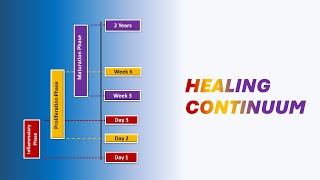 The Healing Continuum in Rehab  2023 Student Symposium [upl. by Naiviv352]