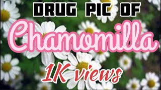 Drug picture of Chamomilla [upl. by Theola]