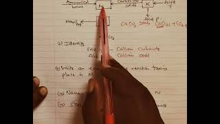 Solvay process Form 2 chemistry Revision [upl. by Sothena]