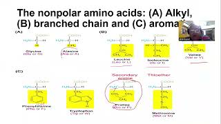 Protein I Structure and functions of Amino Acid [upl. by Mullen152]