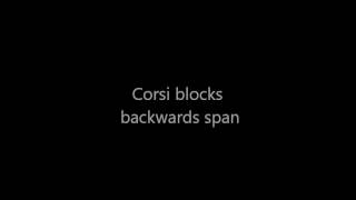 corsi blocks [upl. by Eahsan]