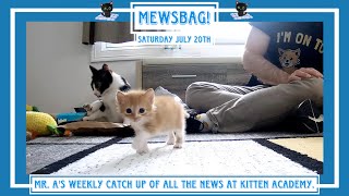 Mewsbag  Saturday July 20th [upl. by Gnap846]