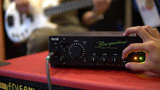 Strings Quick Demo  Bergantino Forte Bass Amp [upl. by Siravat36]