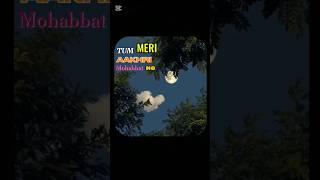 Tum meri aakhri mohabbat ho🥀❤  John Elia  poetry shayari shorts [upl. by Melantha]