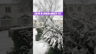 Snow in Dublin March 1st 2024 shorts snow march weather dublin ireland [upl. by Neira823]