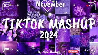 Tiktok Mashup November 💜2024💜 Not Clean [upl. by Atsirc]