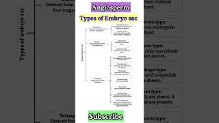 Plant Kingdom  Angiosperm  Types of embryo sac  Embryo sac biologyshortsvideo biology shorts [upl. by Canute]