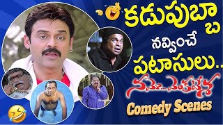 Brahmanandam amp Venkatesh Back To Back Comedy Scenes  Namo Venkatesa Movie  Trisha  Telugu Movie [upl. by Sirromaj]