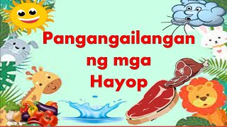 Week 31  Pangangailangan ng mga Hayop [upl. by Aihsenal]