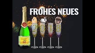 FROHES NEUES JAHR 🍸 Lustiger Silvestergruß ✨ Happy New Year ✨ WhatsApp Video kostenlos 2018 [upl. by Barrada167]