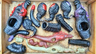 All Trasformation Shin Godzilla  Assemble Toys Kaiju Monster [upl. by Nana]