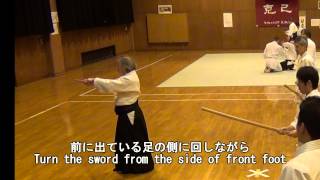 Aikido Todays Practice 20130209 [upl. by Kusin]