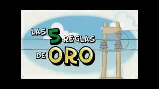 5 Reglas de oro [upl. by Aneele]