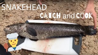 SNAKEHEAD Fish CATCH and COOK in MARYLAND FIRST TIME [upl. by Tnemelc335]