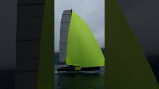 Foiling monohull SPOTTED [upl. by Coffeng]