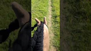 POV  Slo Mo Hobby Horse Gallop horse horseriding equestrian hobbyhorsecomunity hobbyhorse [upl. by Bathulda]