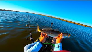 Fishing cold front conditions in Graveline Bayou [upl. by Puglia]