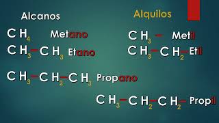 RADICALES ALQUILOS [upl. by Ahsekel]