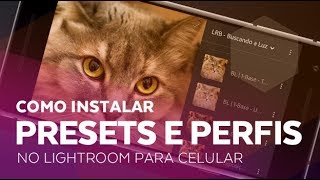 Como Instalar Presets e Perfis no Lightroom para Celular Nova Versão [upl. by Anawed]