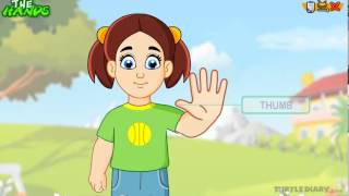 Learn the Parts of the Body  THE HAND  COOL Science for Kids [upl. by Anida]