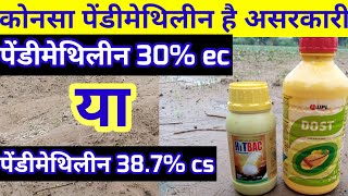 pendimethalin 387 cs vs pendimethalin 30 ec पेंडीमेथिलीन का उपयोग कैसे करे [upl. by Nwaf388]