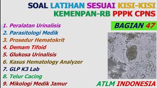 Soal Latihan Sesuai Kisi PermenpanRB PPPK CPNS 2023 2024 Pranata Lab Kesehatan Analis Bagian 47 [upl. by Fenton393]