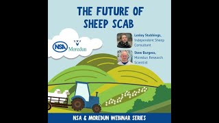 NSAMoredun webinar The future of sheep scab [upl. by Wehttam222]