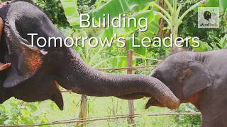 Building Tomorrows Leaders [upl. by Arag]