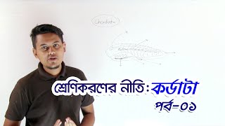 035 Principles of Classification Chordata  Part01  শ্রেণিকরণের নীতি কর্ডাটা  পর্ব০১ [upl. by Lyram196]