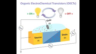 1 P3HT  PVDFHFP organic synaptic neuromorphic transistor preparation [upl. by Valenza]