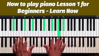 How to Play Piano  Lesson 1 for Beginners  Learn to Play Piano Step by Step [upl. by Cida]