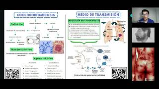 COCCIDIOIDOMICOSIS GRUPO D1 MICROBIOLOGÍA [upl. by Aisile]