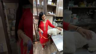 Hospital leke jana Pada Mortu ko Emergency Mai 🐶minivlog sanjhalikavlog dog doglover hospital [upl. by Bridget]