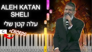 Aleh Katan Sheli tutorial with chords עלה קטן שלי פלייבק Avraham Fried [upl. by Dryfoos]