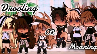 Drool or moan meme gacha gachalife gachaclub gachameme gachameme viral shorts fyp edit [upl. by Baler]