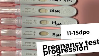 Finding Out Im pregnant  Test Progression 1115DPO  Becca Halm [upl. by Bee794]