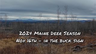 2024 Maine Deer Season  November 16th  In the Buck sign [upl. by Enyamert622]