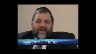 Rabbi Dovid Orlofsky Expert on Jewish Education and Outreach on Torah Live [upl. by Loginov]