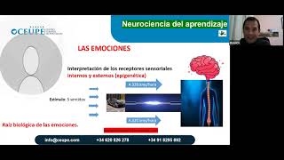 La neurociencia del aprendizaje [upl. by Nnylarej]