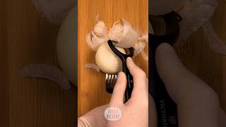 Tips de cocina CORTAR CEBOLLAS rápido con PELADOR [upl. by Iey]