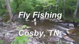 Fly Fishing Cosby 2016 [upl. by Hatty]