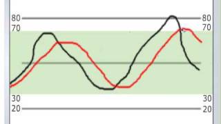 quotHarmonic Stock Trading Secrets Revealed [upl. by Pacifica21]