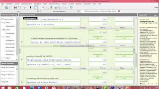 Elster ElsterFormular Steuererklärung Sonderausgaben [upl. by Jermyn]