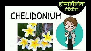 CHELIDONIUM MAJUS HOMOEOPATHIC MEDICINE [upl. by Yornek]