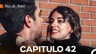 Alas de Amor Capitulo 42 Doblado En Español [upl. by Trepur]